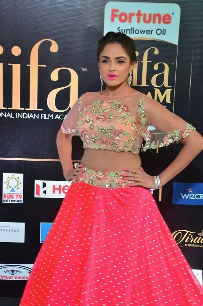 Indian Model Asmita Sood At IIFA Awards In Pink Dress